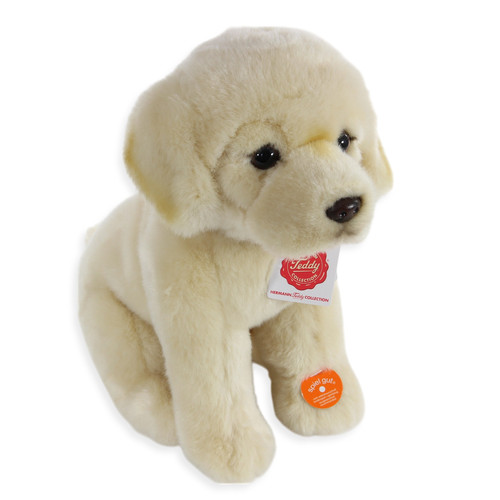 Teddy hermann golden retriever - teddy,