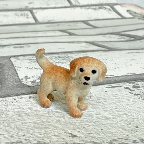 Golden retriever puppy - retriever,