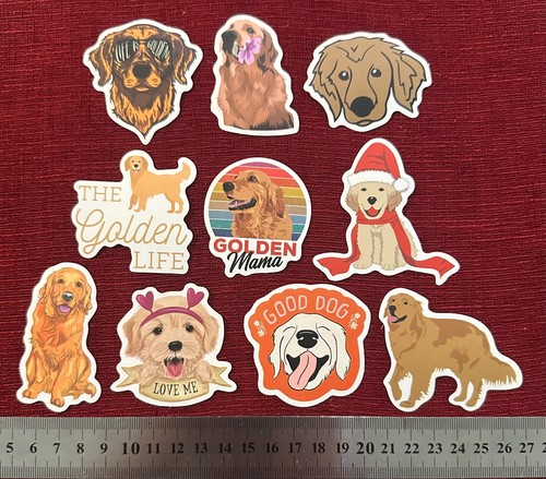 Golden retriever dog - 10, x