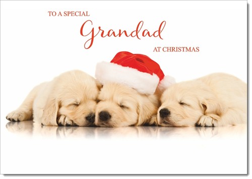Doodlecards grandad christmas - grandad,