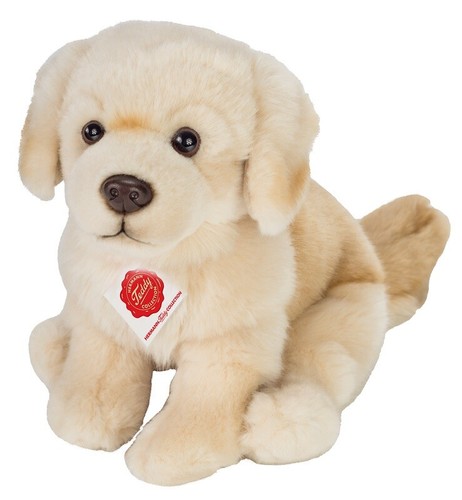 Golden retriever teddy - golden, by