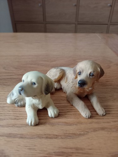 Pair sitting golden - sitting,
