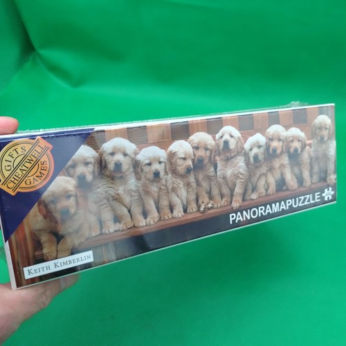 Panorama golden retriever - panorama,