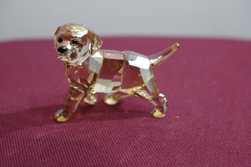 Swarovski golden retriever - swarovski,