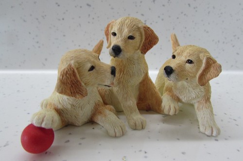 Border fine arts - border, dog