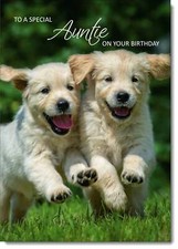 Doodlecards Auntie Birthday