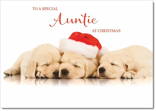 Doodlecards auntie christmas - doodlecards,