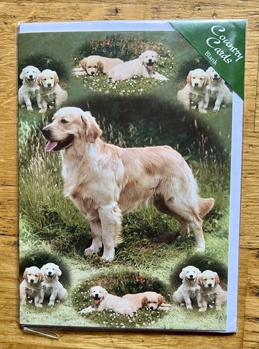 Golden retriever dog puppies - &,