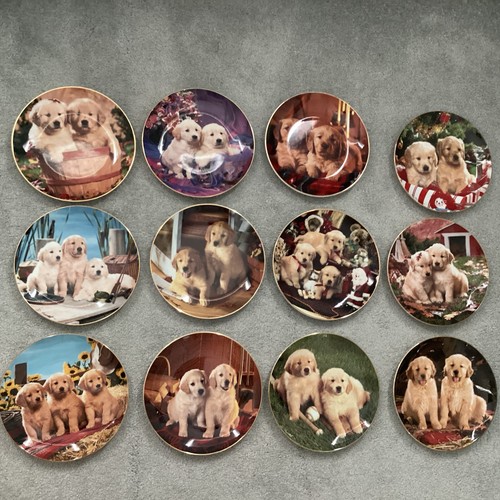 Royal doulton collector - x,