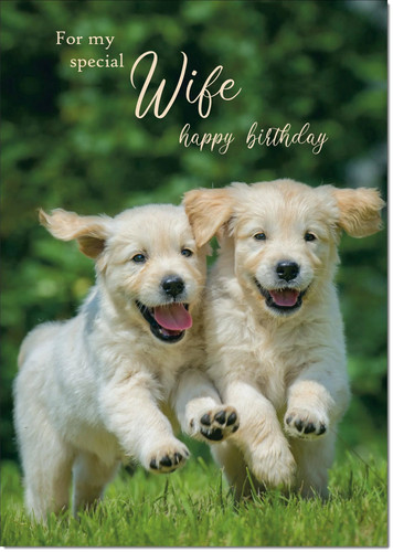 Doodlecards wife birthday card - wife,