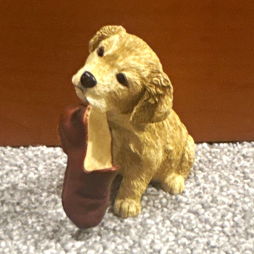Border fine arts puppy - fine, tales