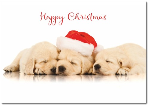 Doodlecards happy christmas - happy,