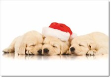 Doodlecards Blank Christmas