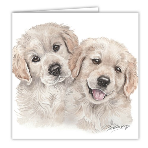 Golden retriever puppies - golden,