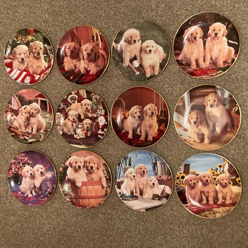 Royal doulton collector - x,