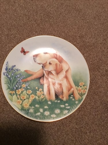 Royal worcester dogs - royal,