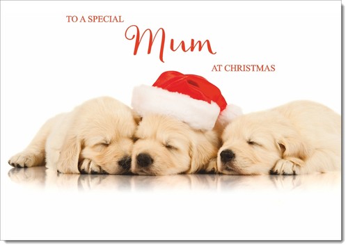 Doodlecards mum christmas card - doodlecards,