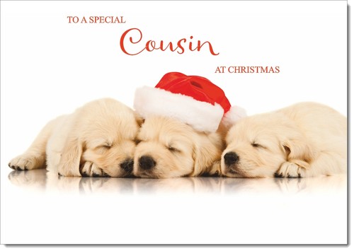 Doodlecards cousin christmas - doodlecards,