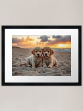 Golden Retriever Puppies on