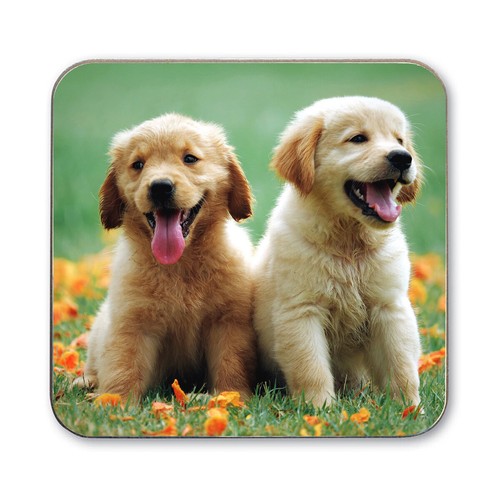 Dog coasters westie cihuahua - -,
