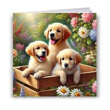 Golden Retriever Puppies