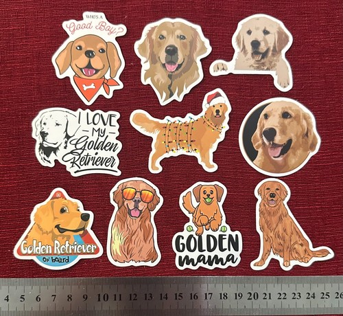 Golden retriever dog - x,