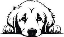 Personalised Puppy Dog " I