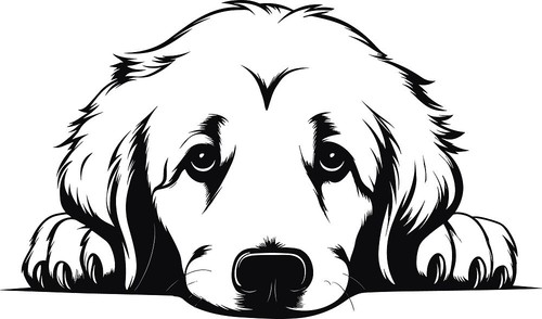 Personalised puppy dog i - personalised, "