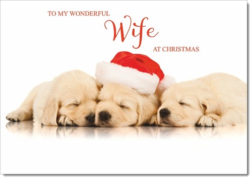 Doodlecards wife christmas - doodlecards,