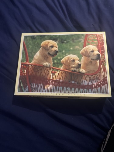 Golden retriever puppies - retriever,