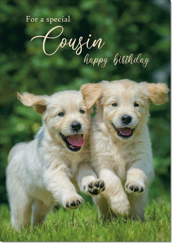 Doodlecards cousin birthday - cousin,