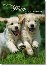 Doodlecards Mum Birthday Card