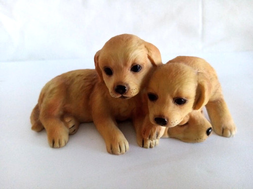 Dog puppy royal - puppy, osborne