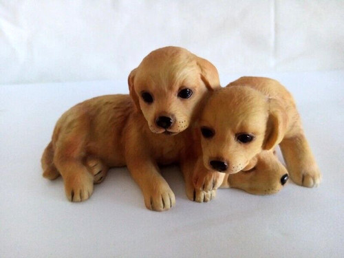 Dog puppy royal - puppy,