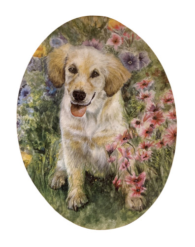 Golden retriever magnet - magnet,