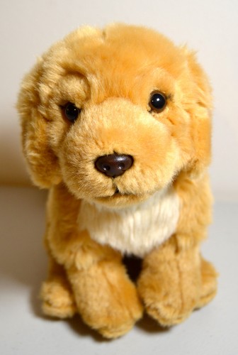 Living nature golden retriever - living,