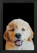 Golden retriever puppy Framed