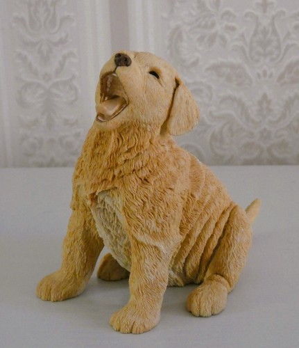 Golden retriever puppy paw - golden, by