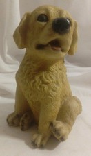 Vintage Golden Retriever Puppy
