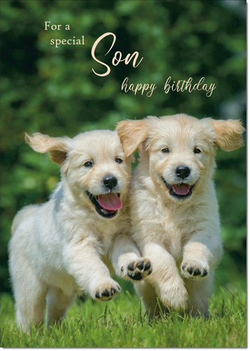 Doodlecards son birthday - son, card