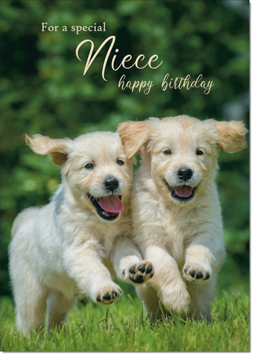 Doodlecards niece birthday - doodlecards,
