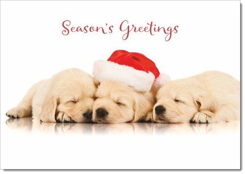 Doodlecards seasons greetings - seasons,