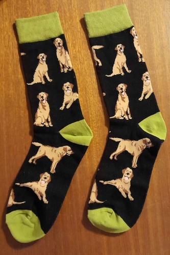 Novelty labrador socks golden - novelty,