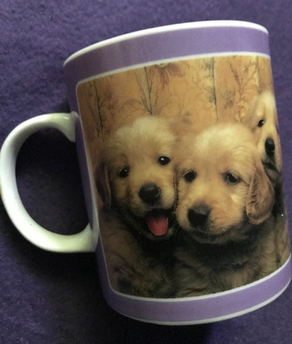 Rspca coffee mug golden - coffee, mug: