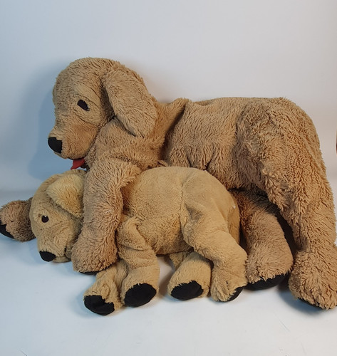 Gosig golden labrador - gosig,