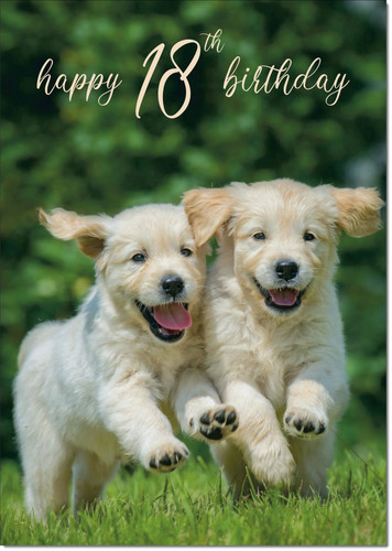 Doodlecards 18th birthday card - birthday,